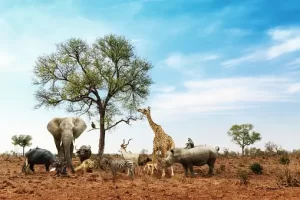 Elephant, giraffe and ither wild animals under a tree